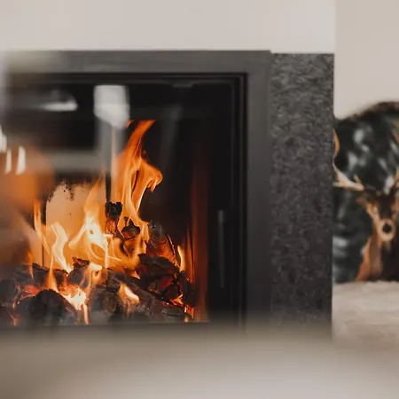 Apartment Hochthron *